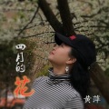黄萍 - 四月的花