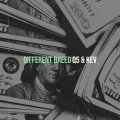 Different Breed (Explicit)