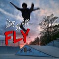 Breakout - Fly