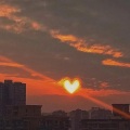 琴艺甜音、群星 - 越南鼓卡点舞