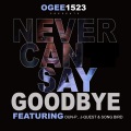 Never Can Say Goodbye (feat. Oun-P, J-Quest & Song Bird)(Explicit)