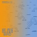 Blind Bird (Hardware Live)