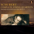 Wiener Konzerthausquartett、Wiener Konzerthaus Quartett - Allegro vicace