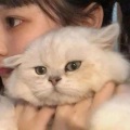 王jiaojiao - 起风了