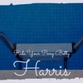Gene La Marr and His Blue Flames - That Crazy Little House on the Hill