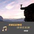 Falling  dream