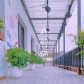 苏枫琛 - 我们俩