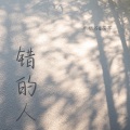 乐栖谷、茯苓 - 错的人
