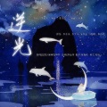 瑾宸、海獭呜啦啦 - 逆光 (101版)