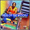 Squirt、Joasin Life Solow - NECK OF THE WOODS (feat. JOASIN LIFE SOLOW)(Explicit)