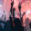 P A R T Y (Explicit)