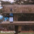 lloyd williams - How Could It Be