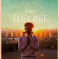 Mr.Fresh - Fallen Angle