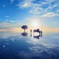 群星、甜妹子、纯音乐 - 彷徨