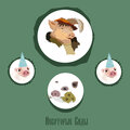 холли ветролов、piglet booklet - Мёртвая любовь