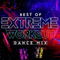 Workout Remix Factory、Avicii、Ash Pournouri、Leroy Kirkland - Levels