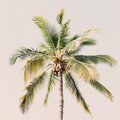 Blu Jam、Ethical Thieves、Scotia Nova - You Know Where To Find Me