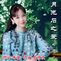 宁菲儿 - 月光石之爱