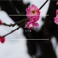 上瘾