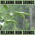 Mental Relaxation - Relaxing Rain
