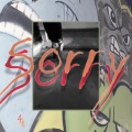 SORRY (Explicit)