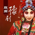 霍春明 - 狸猫换太子