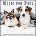 Music For Pets、Pet Care Club、Sleeping Music For Dogs - Relaxing Music For Pets While You're Away