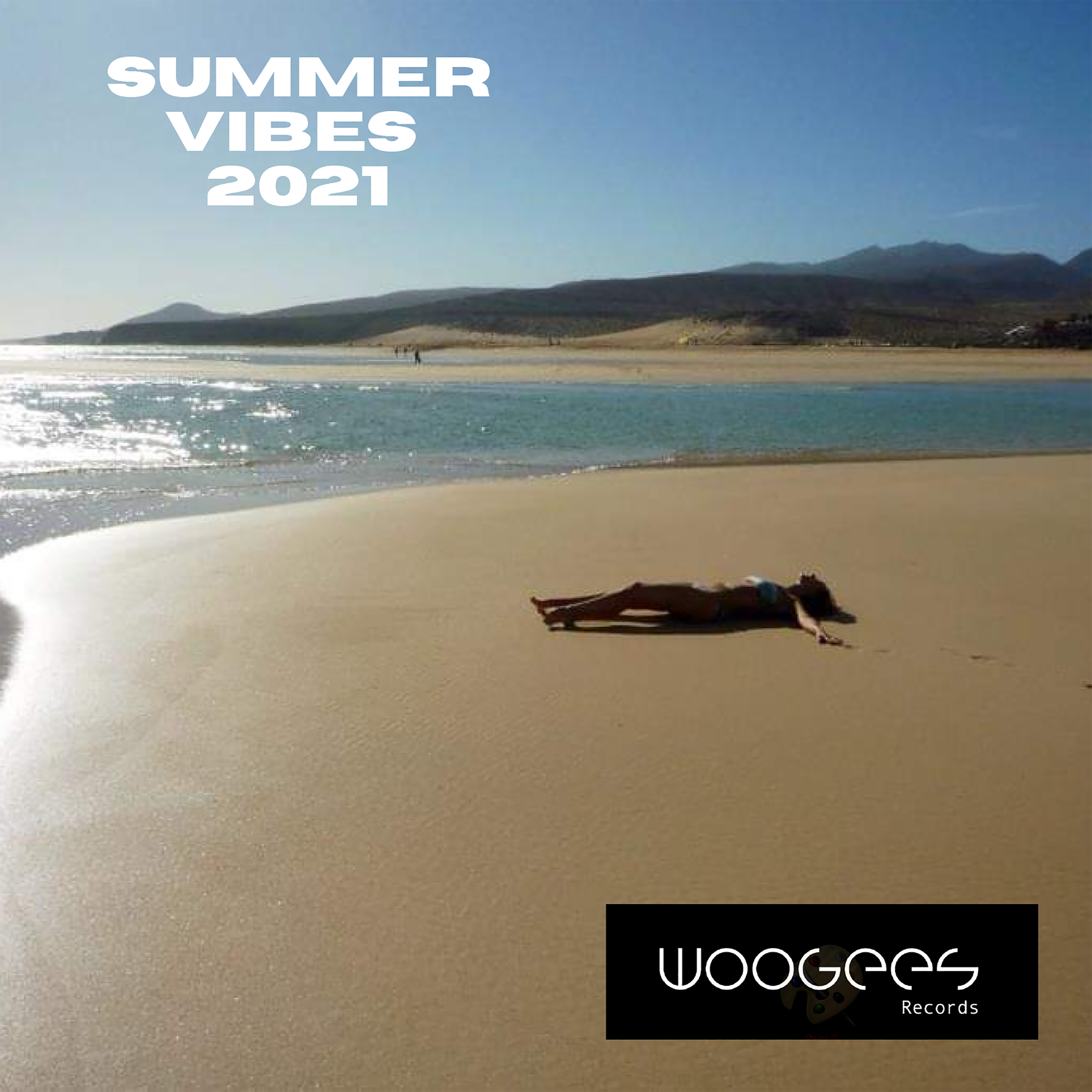 Woogees - Blue Waves