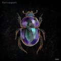 Igans - Solivagant