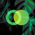 Indifferent Guy - Signal