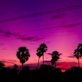 Lofi Night Drives - Happier X Here's Your Perfect (TikTok Lofi Chillhop)