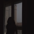 李妮达 - 他乡