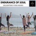 Endurance Of Soul - Delighting Yoga Music