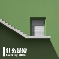 楗籽糕 - 什么是爱