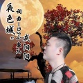 夜色城南