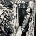 屈士淇 - 非走不可