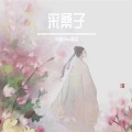 采桑子 (吉他女版)