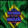 DJ Latino - Perreo Brasileño Mundial