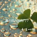 平生一顾 - 走破几双鞋