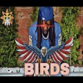 Birds (feat. CKSOSA)(Explicit)