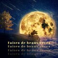 Ensemble de Musique Zen Relaxante - Relax
