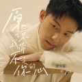 蔡鹤峰 - 原谅我带不走你的心