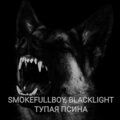 SMOKEFULLBOY、Blacklight - Тупая псина (Explicit)