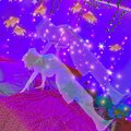 swaebabie、Malachi Lucas-Hicks - dreaming with my eyes wide open (feat. Malachi Lucas-Hicks)(Acoustic Original)