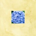 Bashful Male Hero - jackrabbit (Explicit)