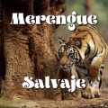 Merengue Salvaje