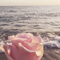 MIDAS. - Sound of the summer
