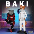 NAT - Baki (Explicit)