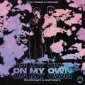 on my own! (feat. lilbubblegum & Sean Pitaro)(Explicit)