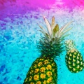 Lofi Tape Music、Piddy Panda - ANANAS (feat. Piddy Panda)